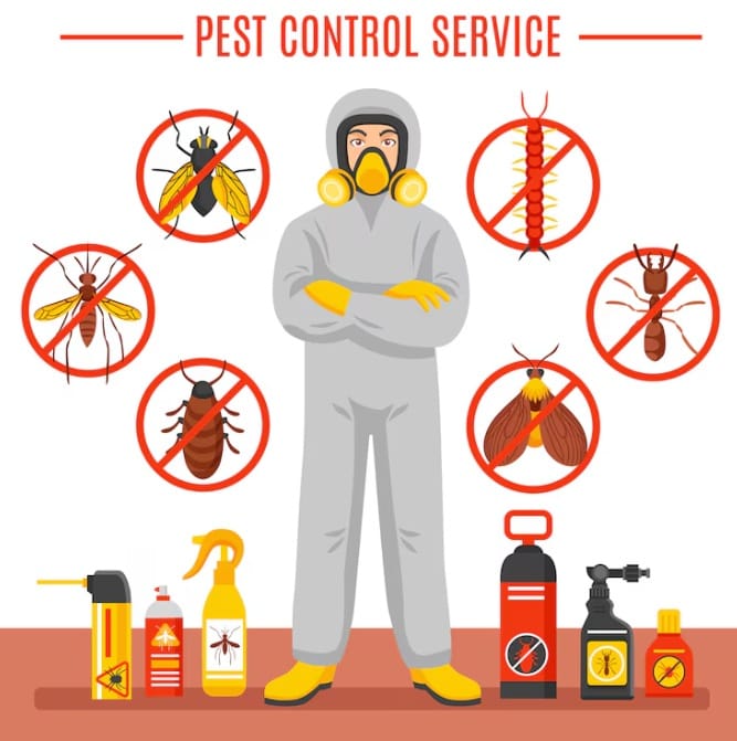How to get rid of fleas on pets quickly